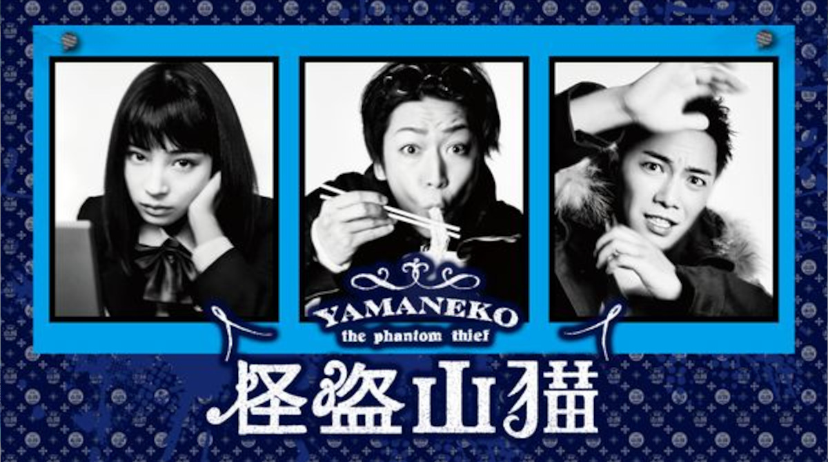 ドラマ『怪盗 山猫』の紹介